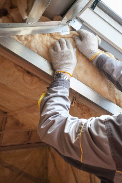 Best Insulation Inspection Services  in Dublin, PA