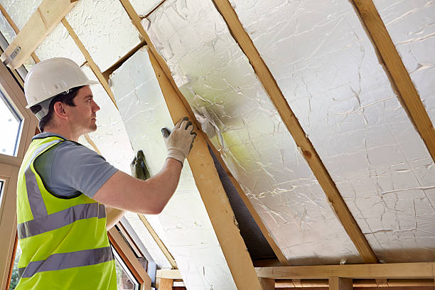 Best Cellulose Insulation  in Dublin, PA